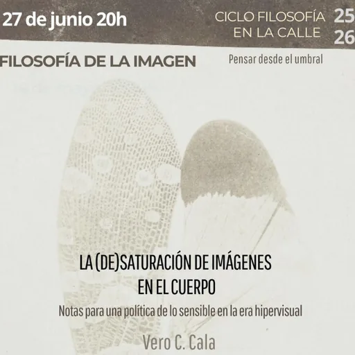 LA (DE)SATURACIÓN DE IMÁGENES EN EL CUERPO