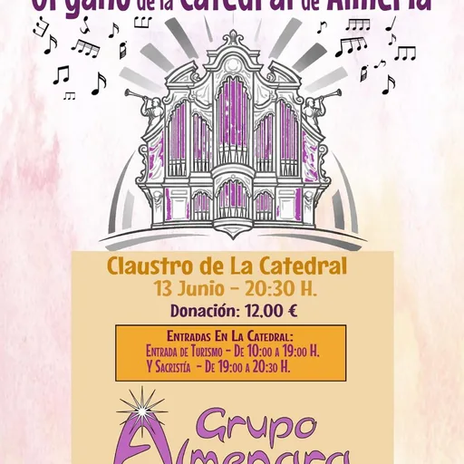 Concierto Para La Restauración Del Órgano De La Catedral De Almería