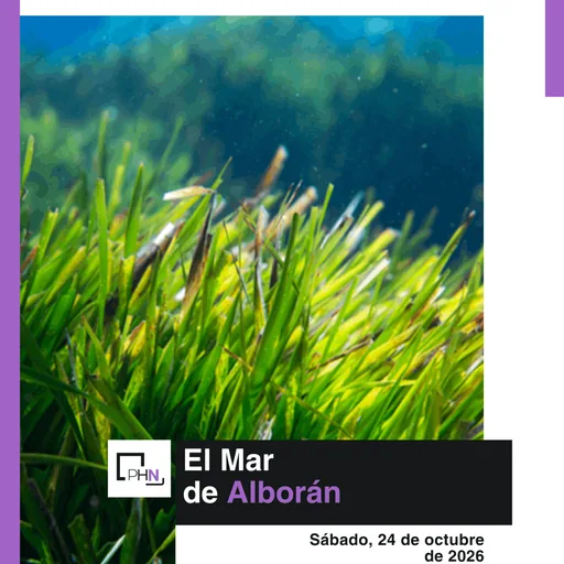 El Mar De Alborán
