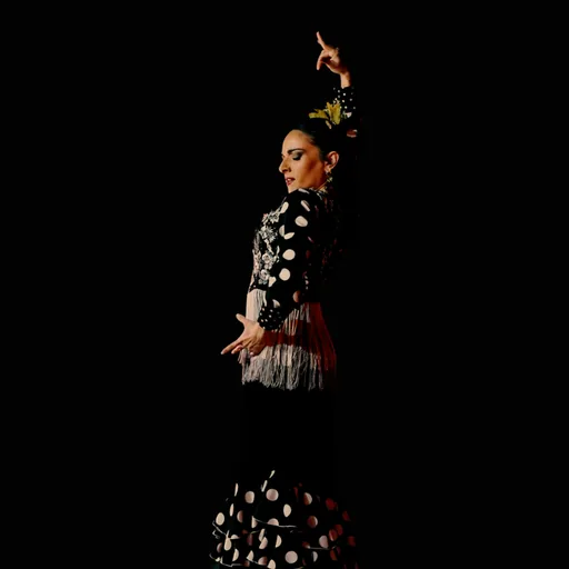 Flamenco Con Tania Santiago