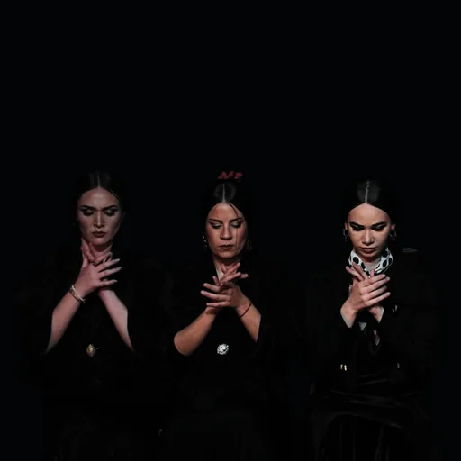 Nóveles Flamencos ACAAF