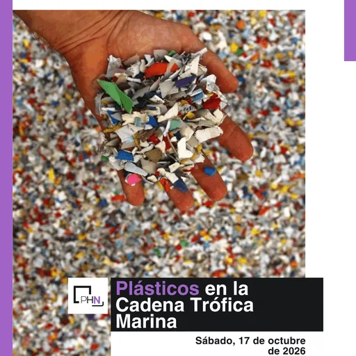 Plásticos en La Cadena Trófica Marina