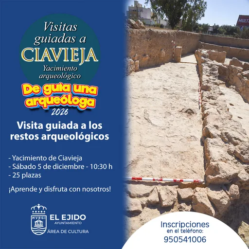 Visitas Guiadas Al Yacimiento De Ciavieja